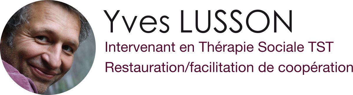 Yves Lusson, Intervenant en Thérapie Sociale TST